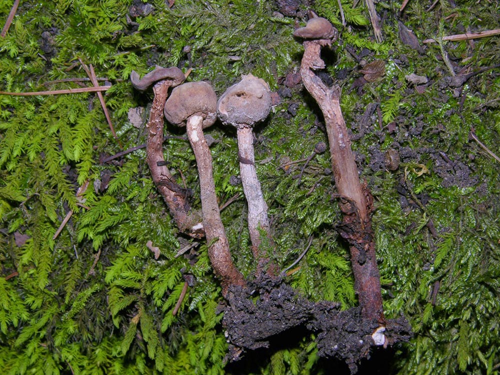 Svuotando l''archivio 2009...parte1